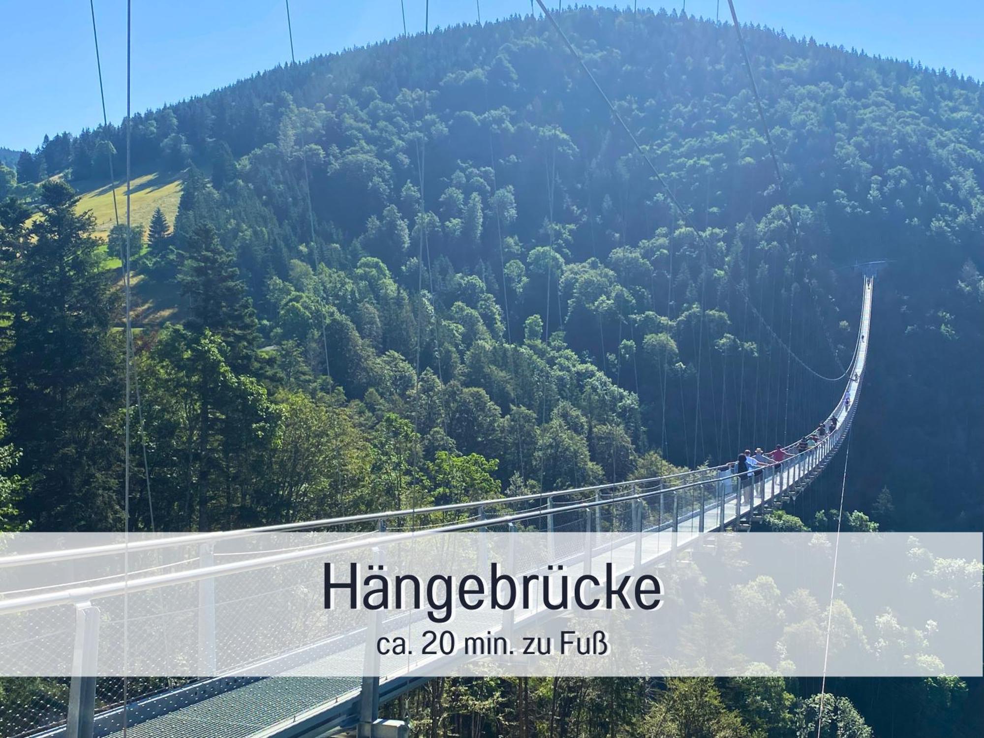 Herzgruen Direkt An Traumhaften Wanderwegen Balkon Mit Toller Aussicht Sauna Im Haus Tiefgarage E-Ladestation ทอดด์เนาแบร์ก ภายนอก รูปภาพ