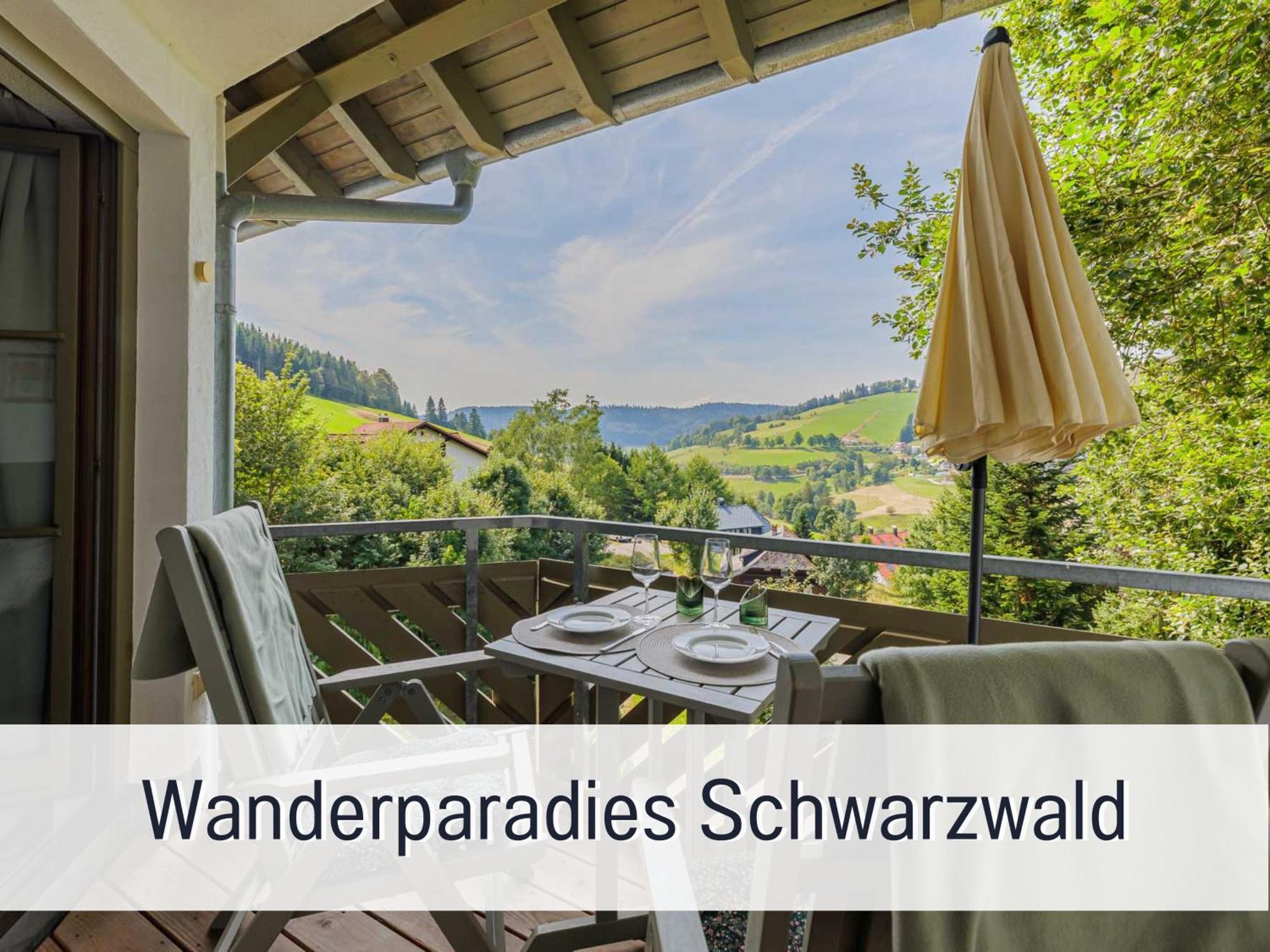 Herzgruen Direkt An Traumhaften Wanderwegen Balkon Mit Toller Aussicht Sauna Im Haus Tiefgarage E-Ladestation ทอดด์เนาแบร์ก ภายนอก รูปภาพ
